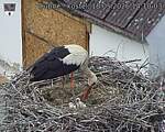 Capi_Dubne_20260518_141003.jpg