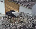 Capi_Dubne_20260518_143003.jpg