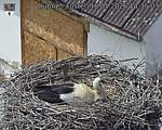 Capi_Dubne_20260518_143503.jpg