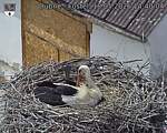 Capi_Dubne_20260518_144004.jpg