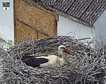Capi_Dubne_20260518_151503.jpg