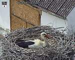 Capi_Dubne_20260518_152003.jpg
