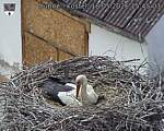 Capi_Dubne_20260518_154503.jpg