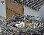 Capi_Dubne_20260518_155503.jpg