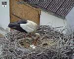 Capi_Dubne_20260518_161003.jpg