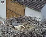 Capi_Dubne_20260518_161502.jpg