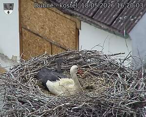 preload