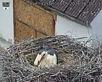 Capi_Dubne_20260518_163003.jpg