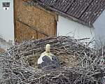 Capi_Dubne_20260518_164002.jpg