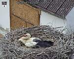 Capi_Dubne_20260518_164503.jpg