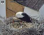 Capi_Dubne_20260518_165002.jpg