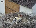Capi_Dubne_20260518_172003.jpg