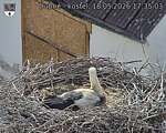 Capi_Dubne_20260518_173503.jpg
