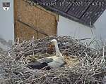 Capi_Dubne_20260518_174002.jpg
