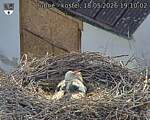 Capi_Dubne_20260518_191002.jpg