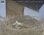 Capi_Dubne_20260518_200002.jpg