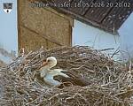 Capi_Dubne_20260518_202002.jpg