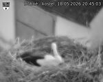 Capi_Dubne_20260518_204503.jpg
