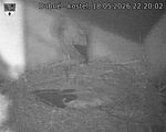 Capi_Dubne_20260518_222002.jpg
