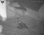 Capi_Dubne_20260518_224003.jpg
