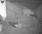 Capi_Dubne_20260519_010502.jpg