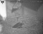 Capi_Dubne_20260519_034003.jpg