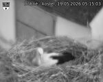 Capi_Dubne_20260519_051503.jpg