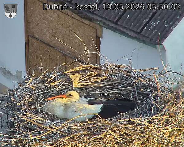 preload