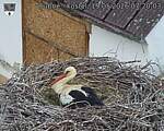 Capi_Dubne_20260519_072003.jpg