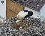 Capi_Dubne_20260519_085504.jpg