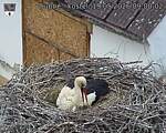 Capi_Dubne_20260519_090002.jpg