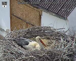preload