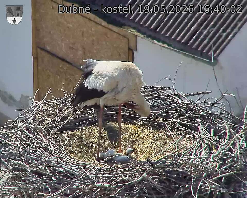 preload