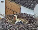 Capi_Dubne_20260519_201003.jpg