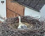 Capi_Dubne_20260519_204503.jpg