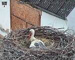 Capi_Dubne_20260519_205003.jpg