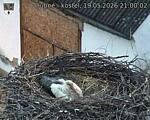 Capi_Dubne_20260519_210002.jpg