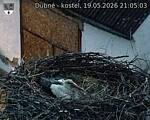 Capi_Dubne_20260519_210503.jpg