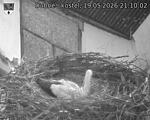Capi_Dubne_20260519_211002.jpg