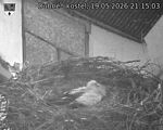 Capi_Dubne_20260519_211503.jpg