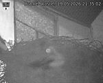 Capi_Dubne_20260519_213502.jpg