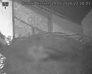 Capi_Dubne_20260519_222003.jpg (1350&nbsp;x&nbsp;1080)