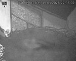 Capi_Dubne_20260519_223502.jpg