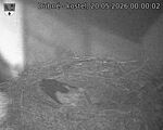 Capi_Dubne_20260520_000002.jpg