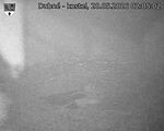Capi_Dubne_20260520_020502.jpg