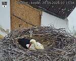 Capi_Dubne_20260520_071504.jpg