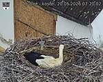 Capi_Dubne_20260520_072002.jpg