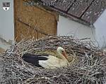 Capi_Dubne_20260520_111503.jpg