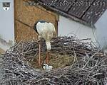 Capi_Dubne_20260520_114003.jpg