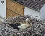 Capi_Dubne_20260520_114503.jpg